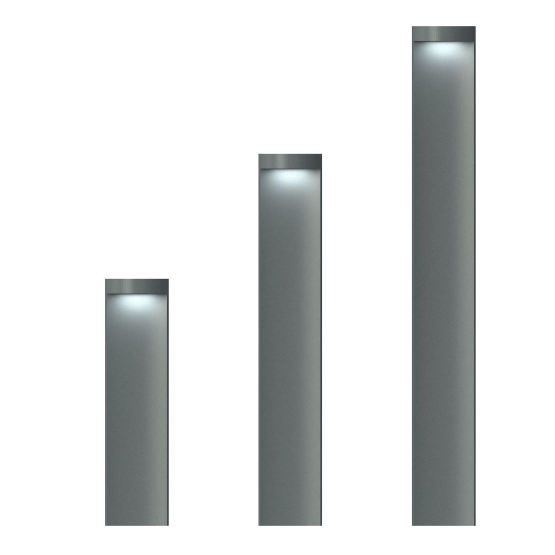 ANS 4